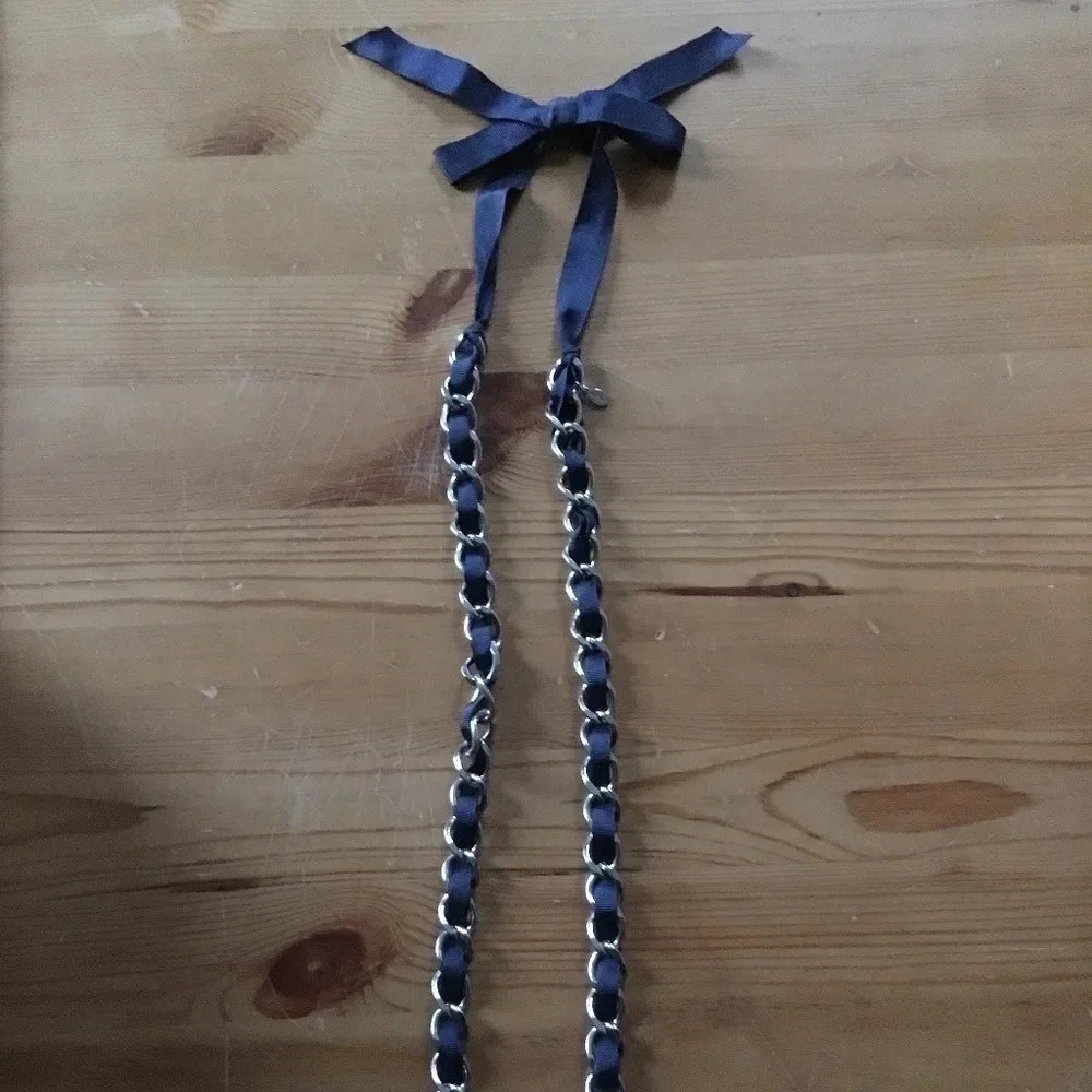 Aerie chain and ribbon necklace